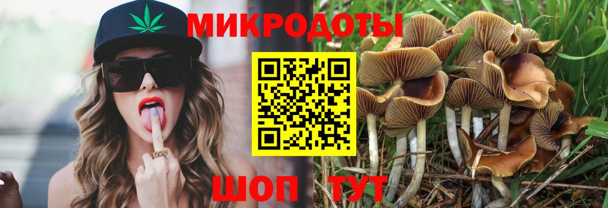 Сегежа  Галлюциногенные грибы Cubensis  Вход с VPN 