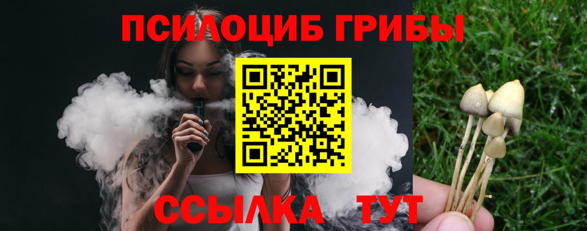 Галлюциногенные грибы прущие грибы Сегежа