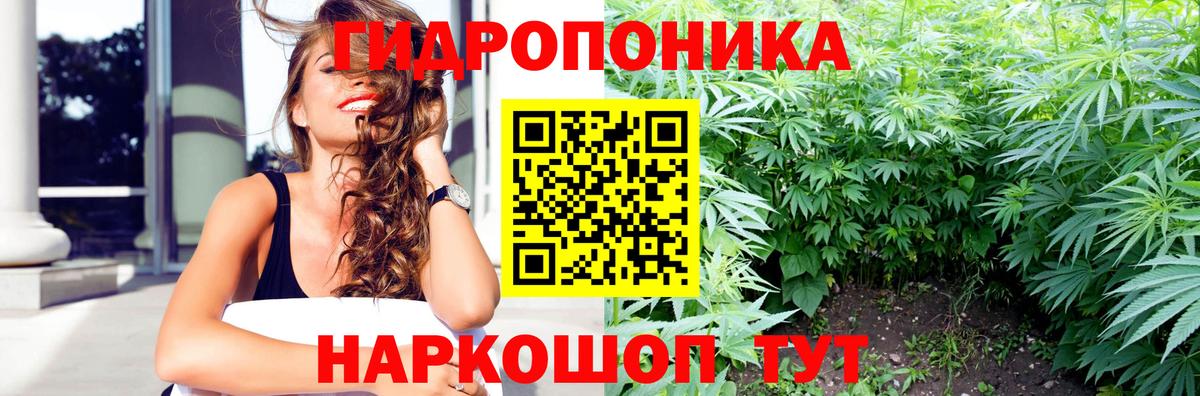 Бошки Шишки White Widow Сегежа
